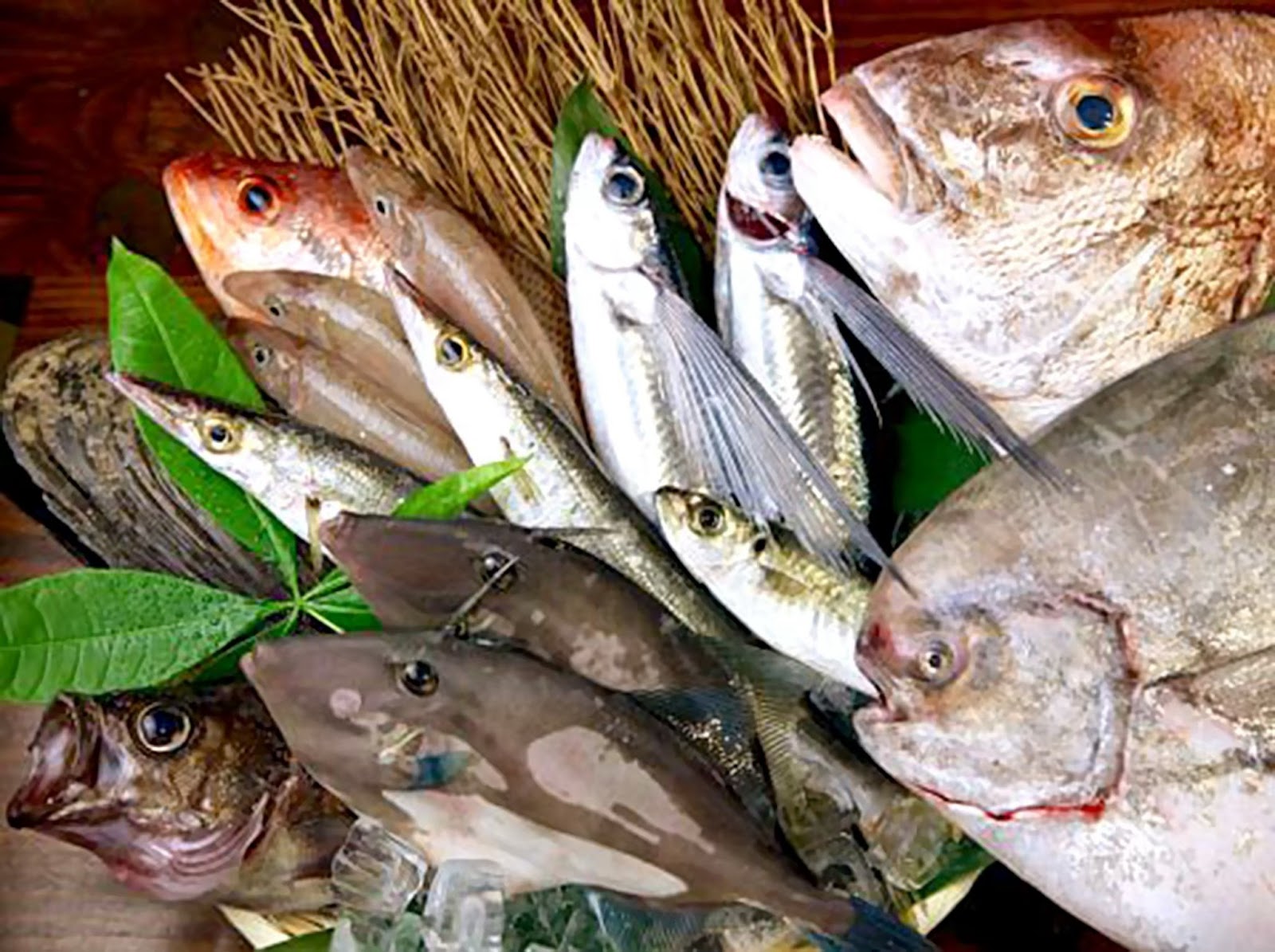和食 旬の和朗(獅子奮迅別館)のお料理 2